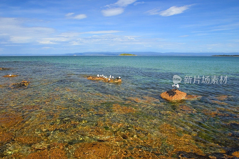 Freycinet国家公园，塔斯马尼亚，澳大利亚