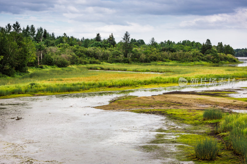 Kouchibouguac国家公园湿地