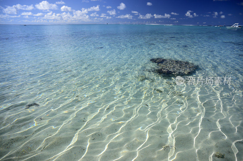 珊瑚头透过清澈的水毛里求斯水域