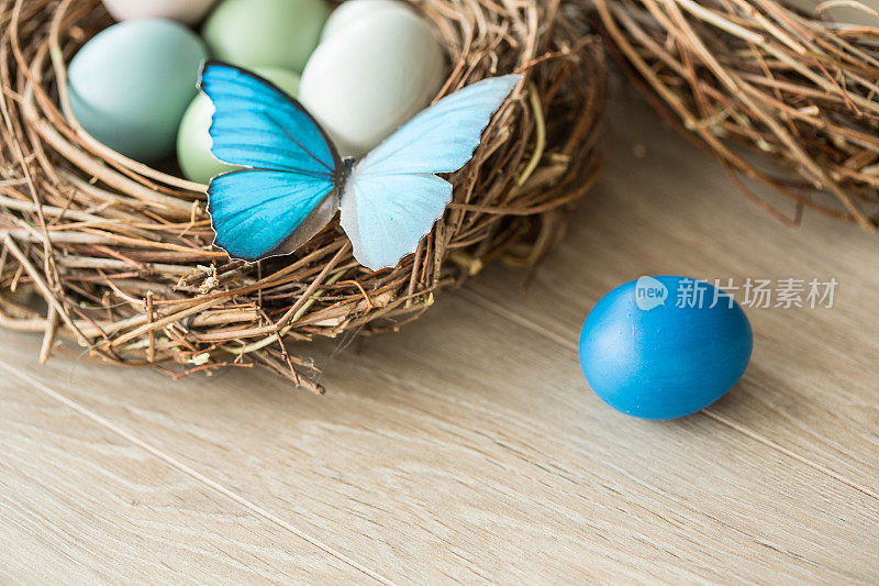 蓝色的复活节蛋和蛋窝