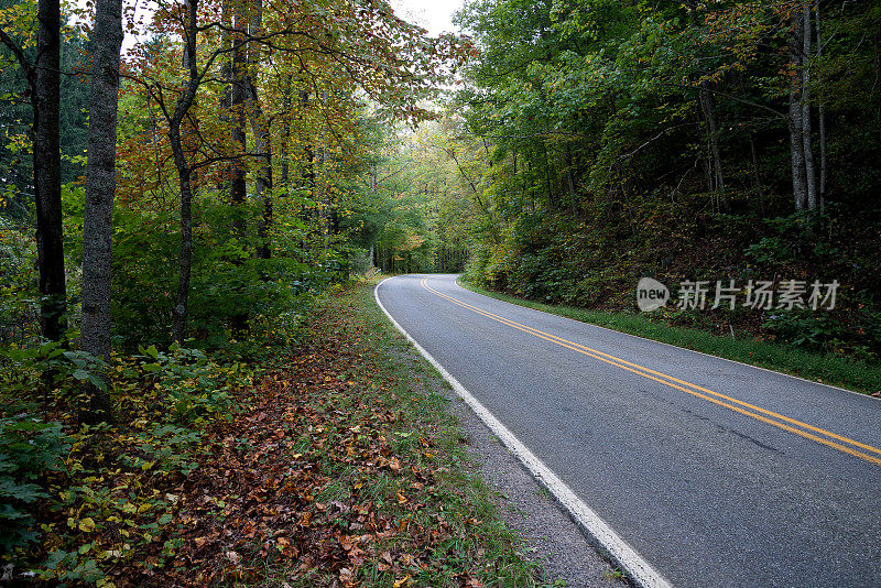 秋天的道路