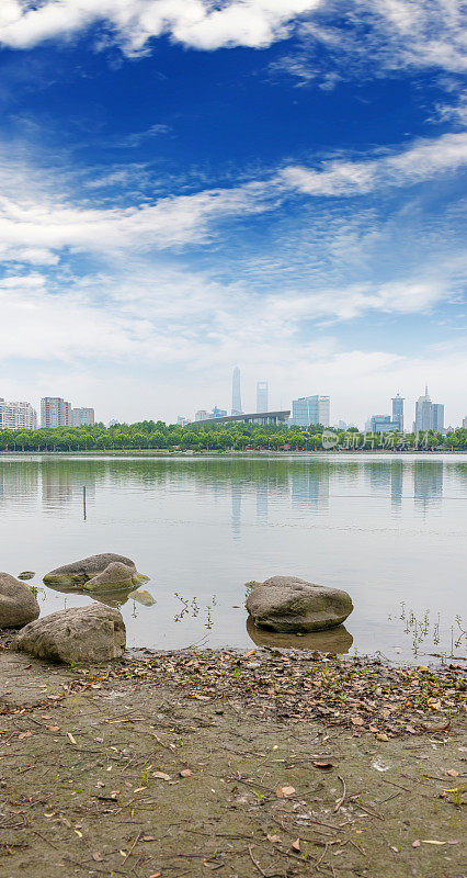 以现代建筑为背景的上海城市公园