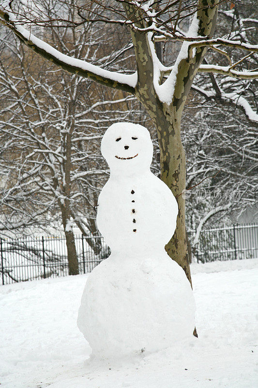 中央公园的雪人