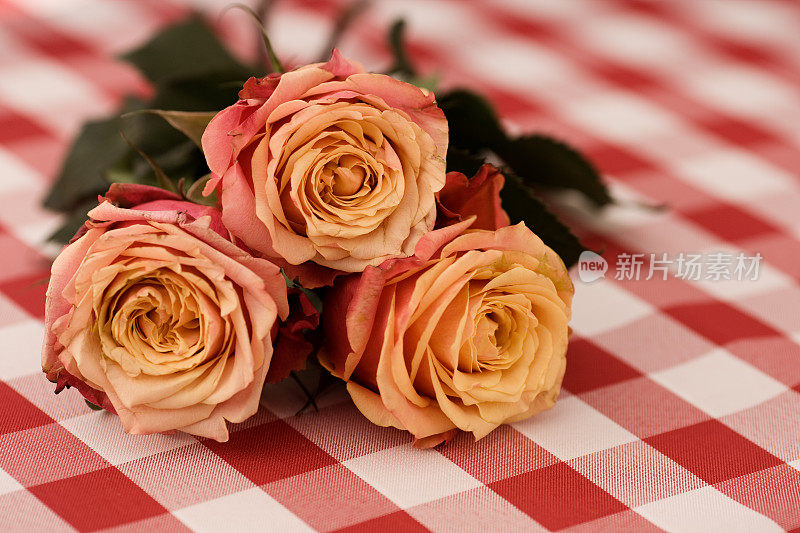 新鲜采摘的玫瑰放在野餐桌上