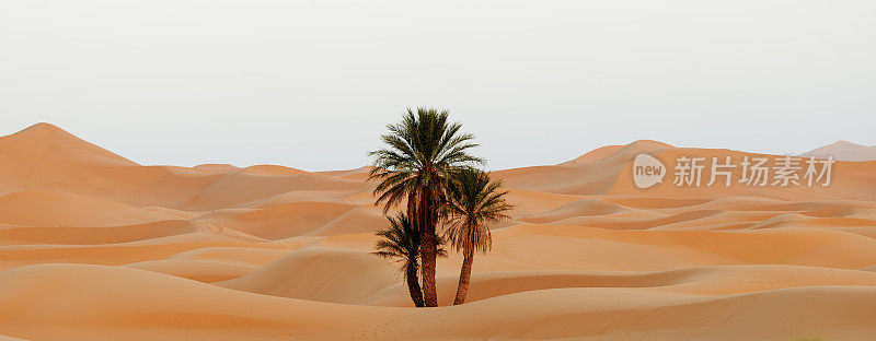 摩洛哥。撒哈拉沙漠的沙丘