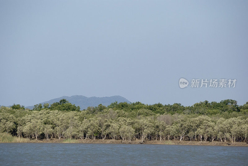 圣卢西亚湖，南非