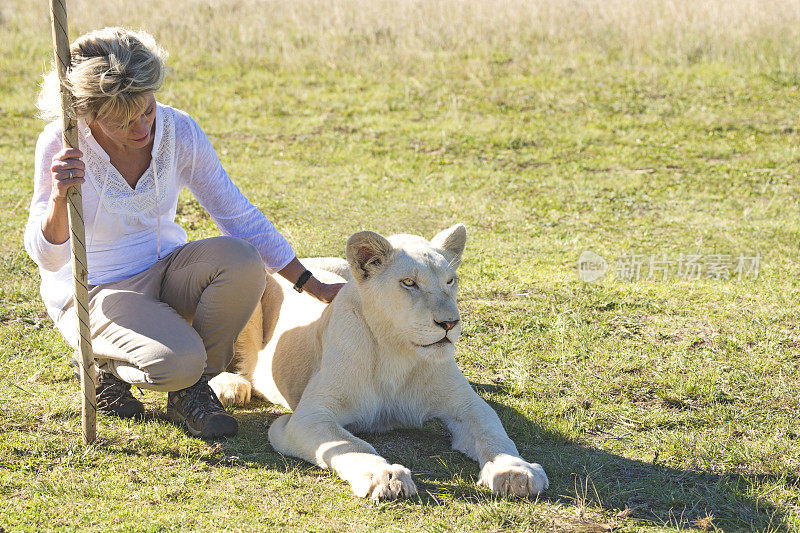 在南非，一名妇女抚摸着一只白色的小狮子