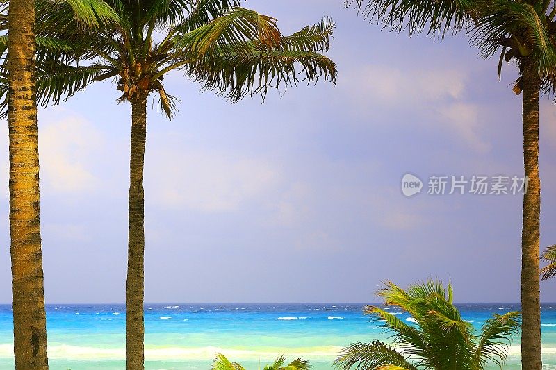 热带天堂日落:明亮的阳光明媚的桑迪加勒比棕榈树海滩