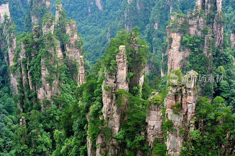 山峰林立，森林景观05