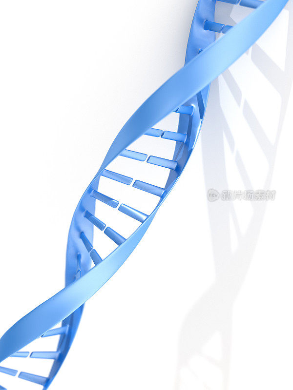 简化的蓝色DNA链分子结构