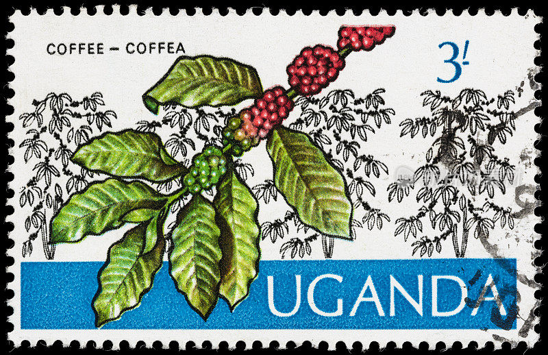 乌干达咖啡树邮票
