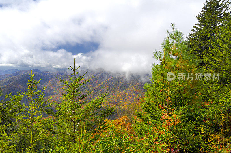 蓝岭公园路国家公园秋天风景，NC，美国