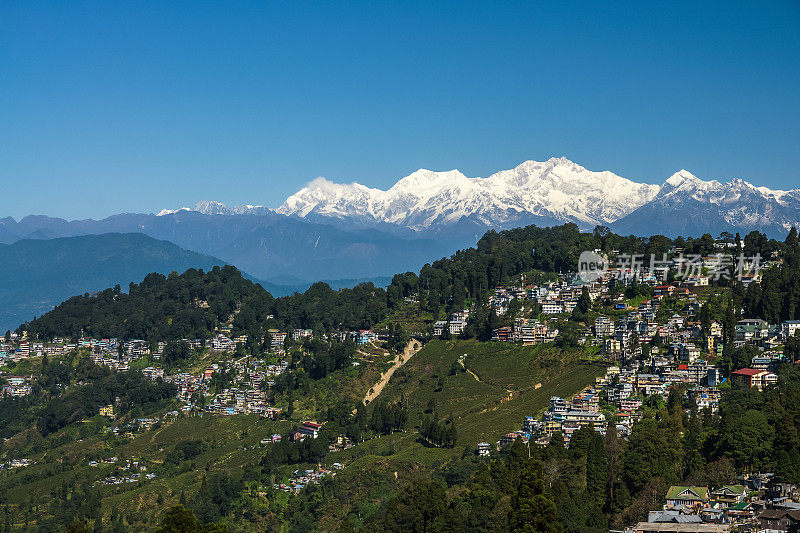 喜马拉雅山脉的大吉岭镇和茶园
