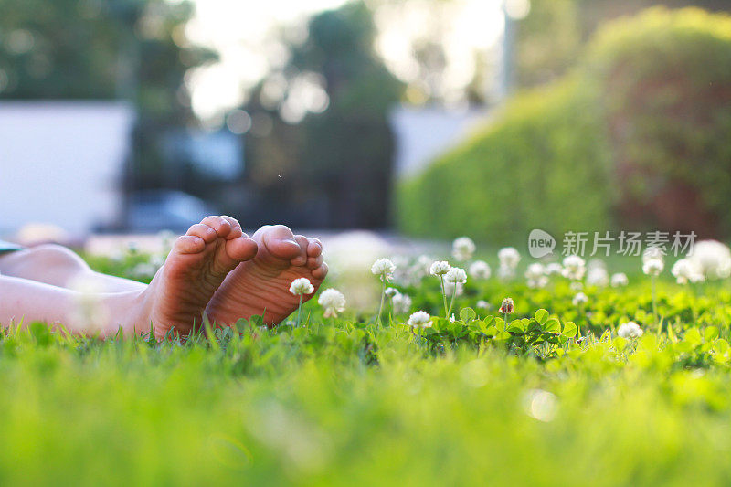 坐在长满三叶草花的草地上