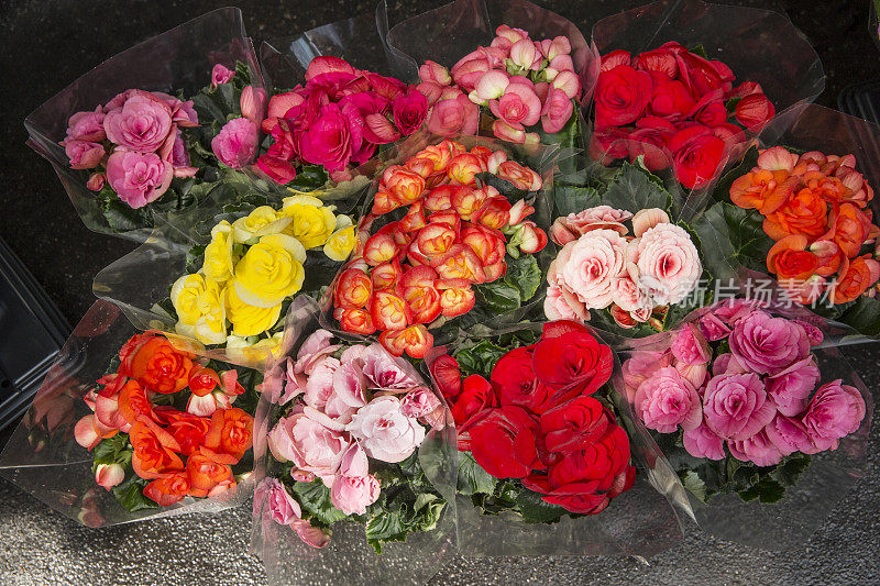 海棠在花卉市场出售