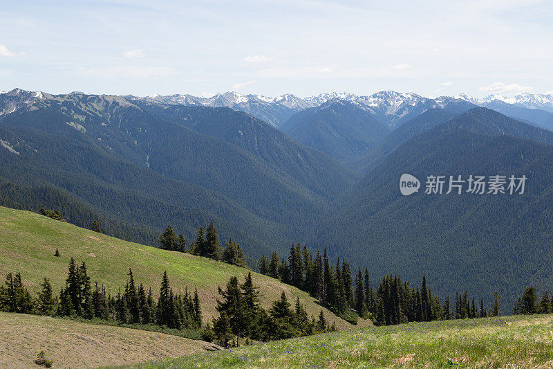 奥林匹克山的风景