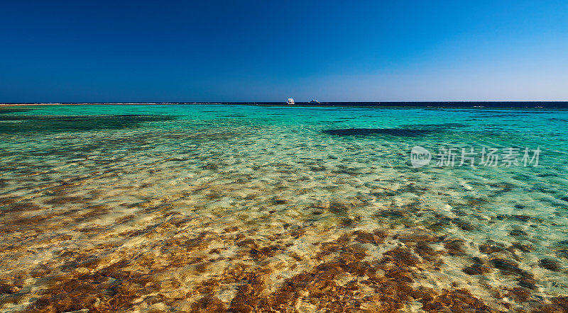 热带海洋背景