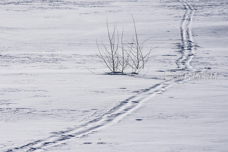 雪地上的足迹