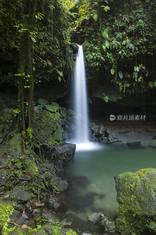 翡翠池和瀑布多米尼加