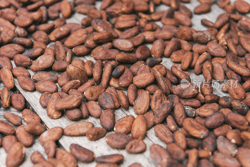 哥斯达黎加的可可豆天然超级食物生巧克力