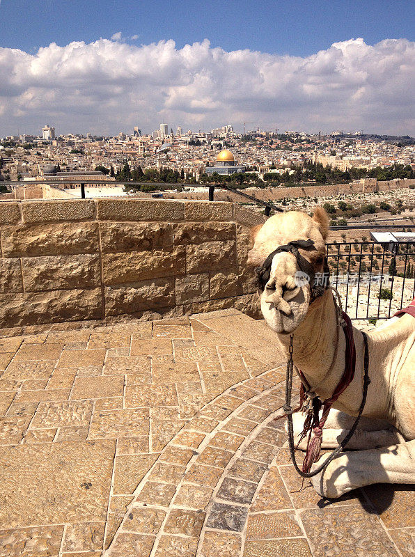 以色列耶路撒冷旅行背景