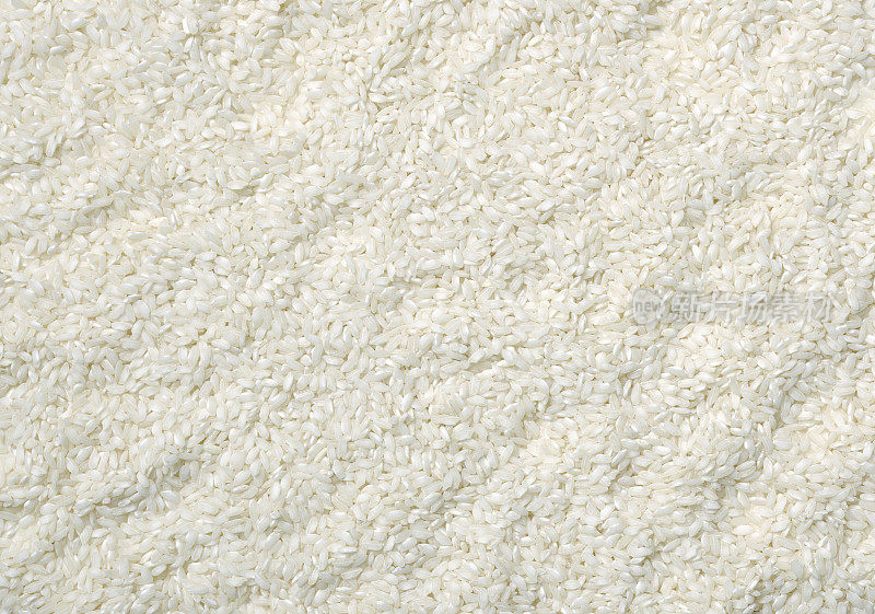 生白米背景，罗马型