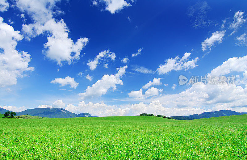 田园诗般的风景-绿色的田野和蓝色的天空