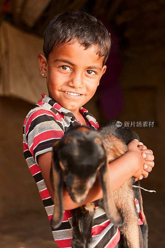 一个印度小男孩牵着一只山羊