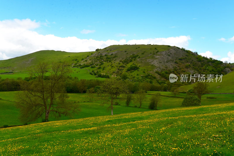 英国的风景