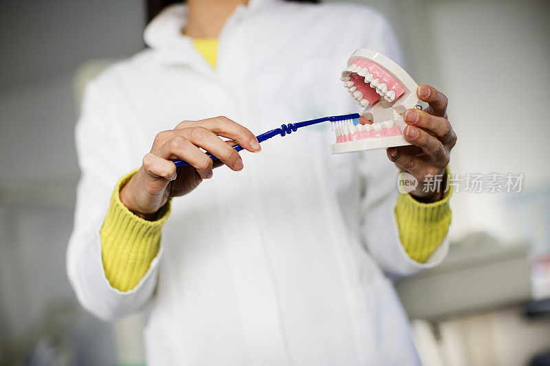 牙医用手示范如何正确地刷牙