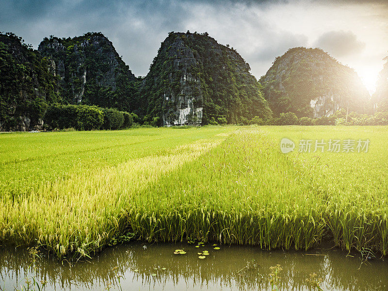 越南宁平，稻田里的夕阳