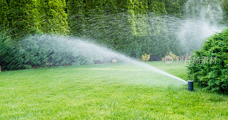 用洒水系统灌溉草坪。