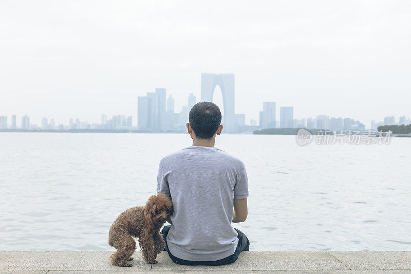 后视图的人坐在海滨和他的宠物在一边