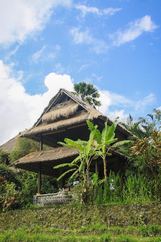 巴厘岛的稻田和村庄