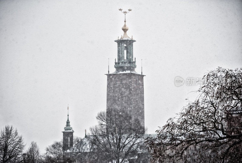 雪中的斯德哥尔摩市政厅