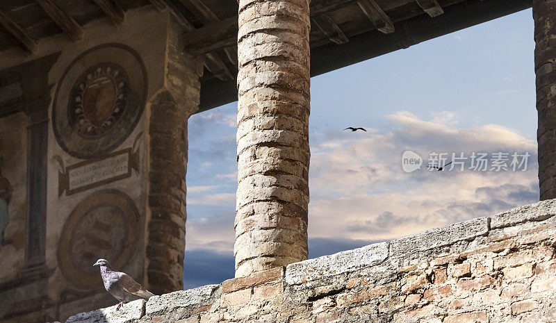 在意大利圣吉梅尼亚诺的建筑细节与飞翔的鸟
