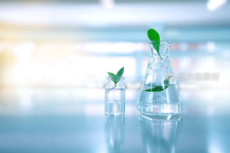 玻璃烧瓶和小瓶的纯净水，带有生物技术科学实验室背景的天然绿叶