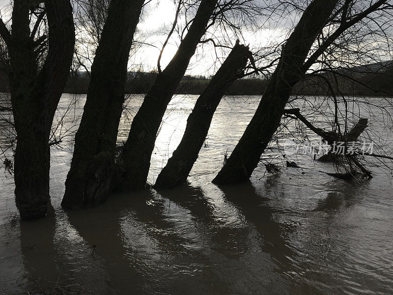 被淹没的树木在混乱的水中