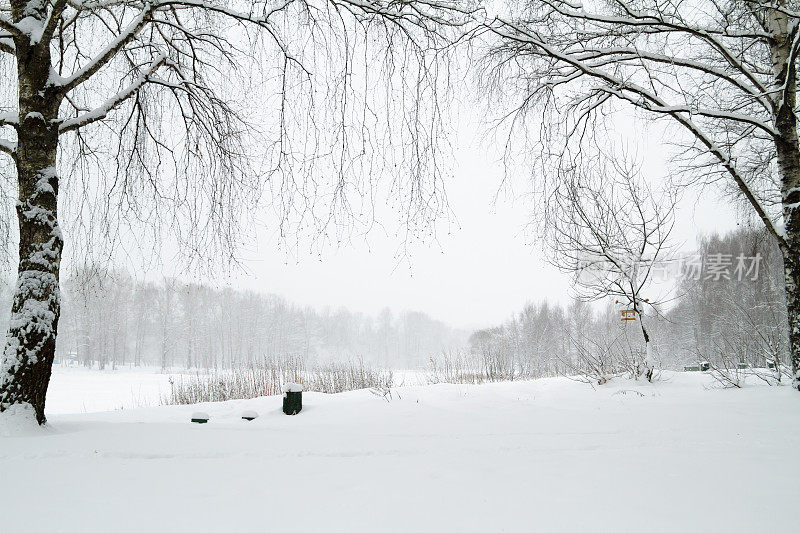 冬天的风景。美丽的冬天森林。城市公园下大雪。树枝和树干被雪覆盖着。