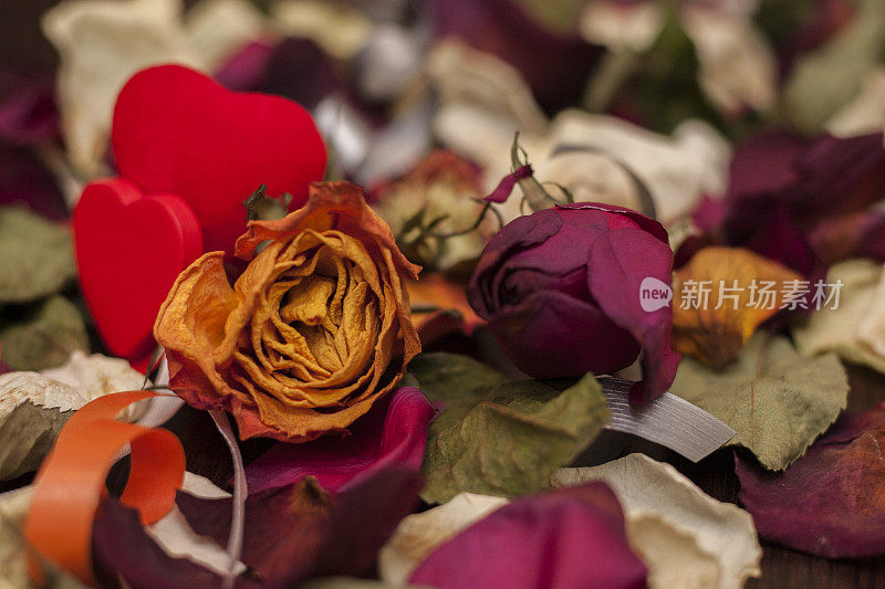 玫瑰花瓣与心形装饰