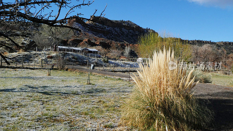 潘帕斯草和新雪下的田野在南梅萨在犹他州洛克维尔
