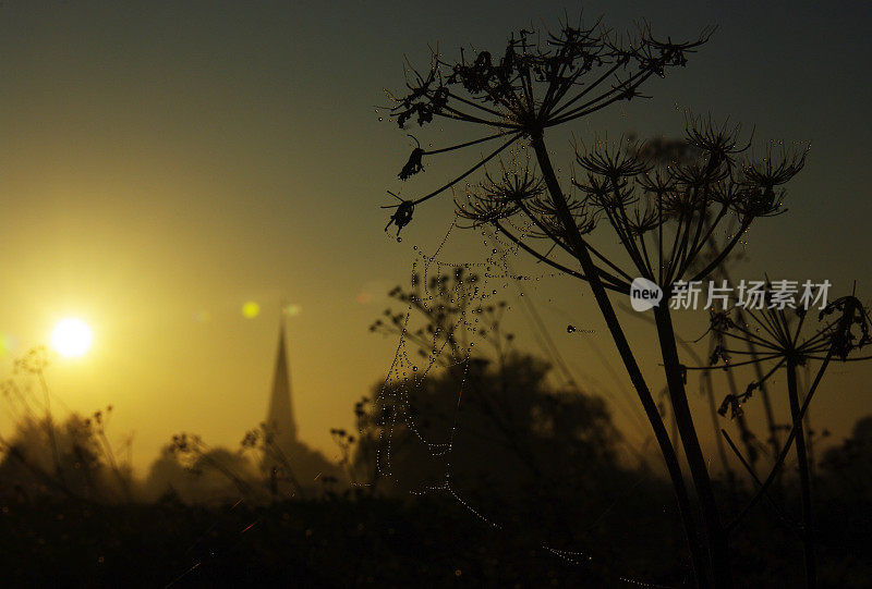 黎明的场景