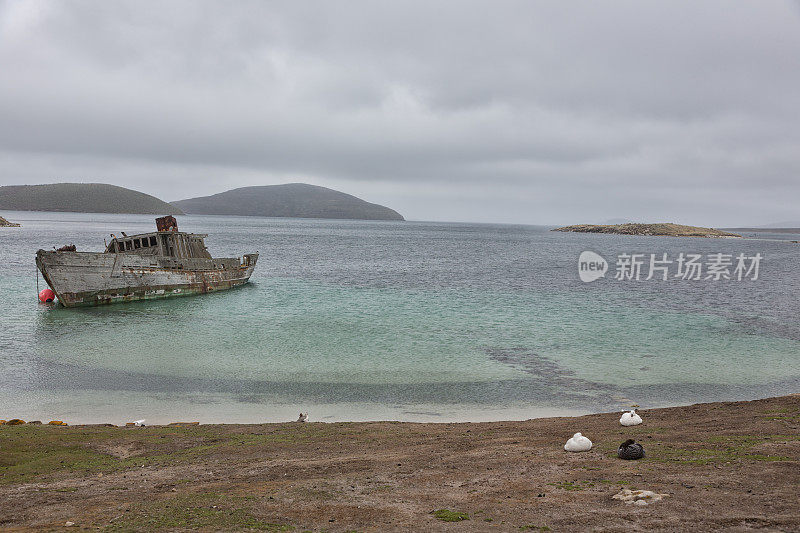 福克兰群岛海岸发生海难