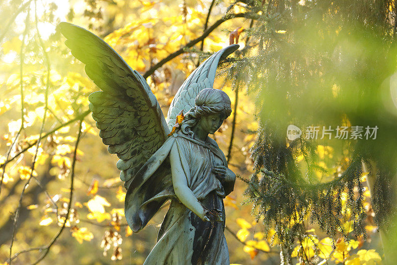 墓地上的老天使雕像