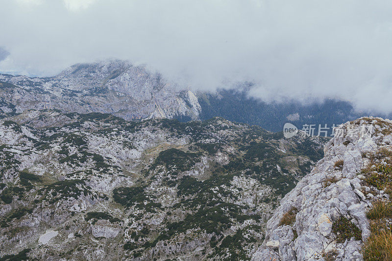 从山顶俯瞰公园的全景