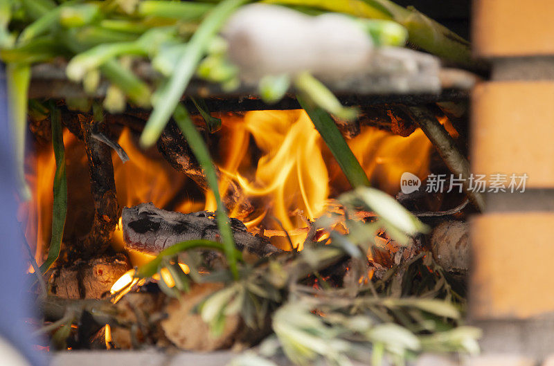 Calçots家庭烧烤-加泰罗尼亚的美食传统