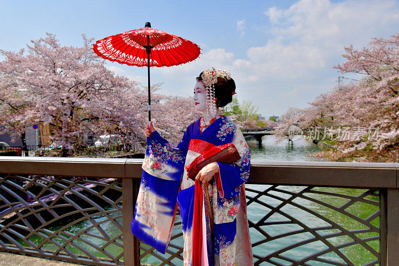 穿着美子服饰的日本女人在京都的桥上欣赏樱花