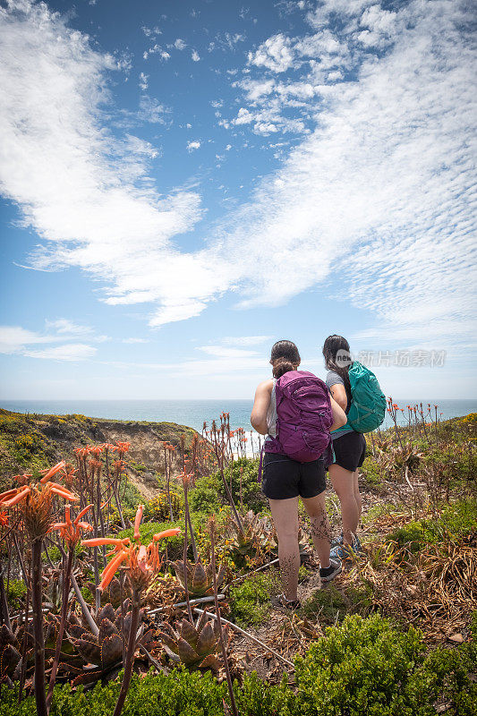 千禧姐妹徒步穿越野花小径时欣赏海景