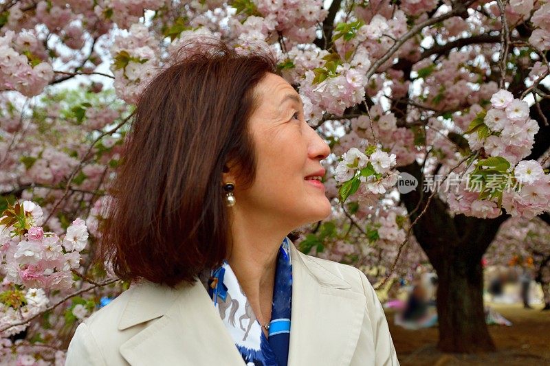 日本女子在东京赏樱花