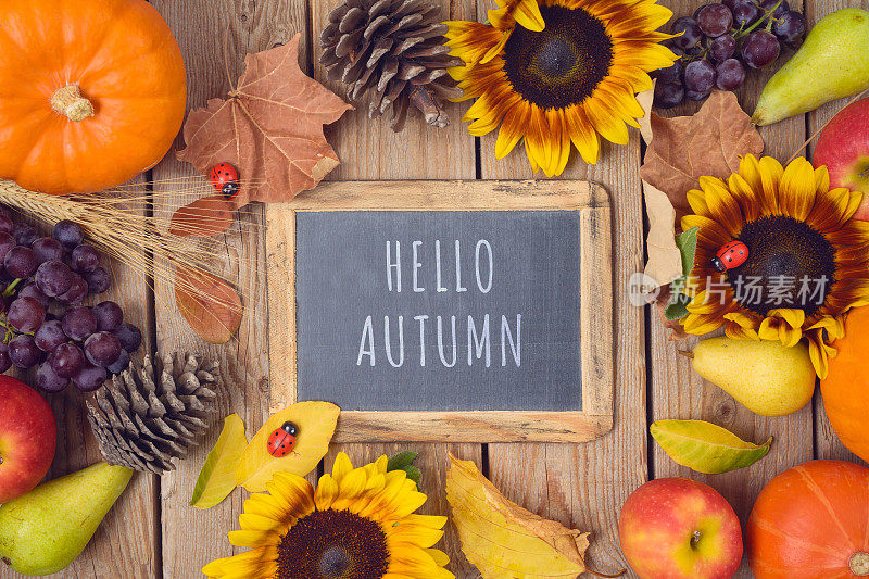 你好秋天的概念与黑板，南瓜，苹果和向日葵在木桌上。感恩节的背景。从上面俯视